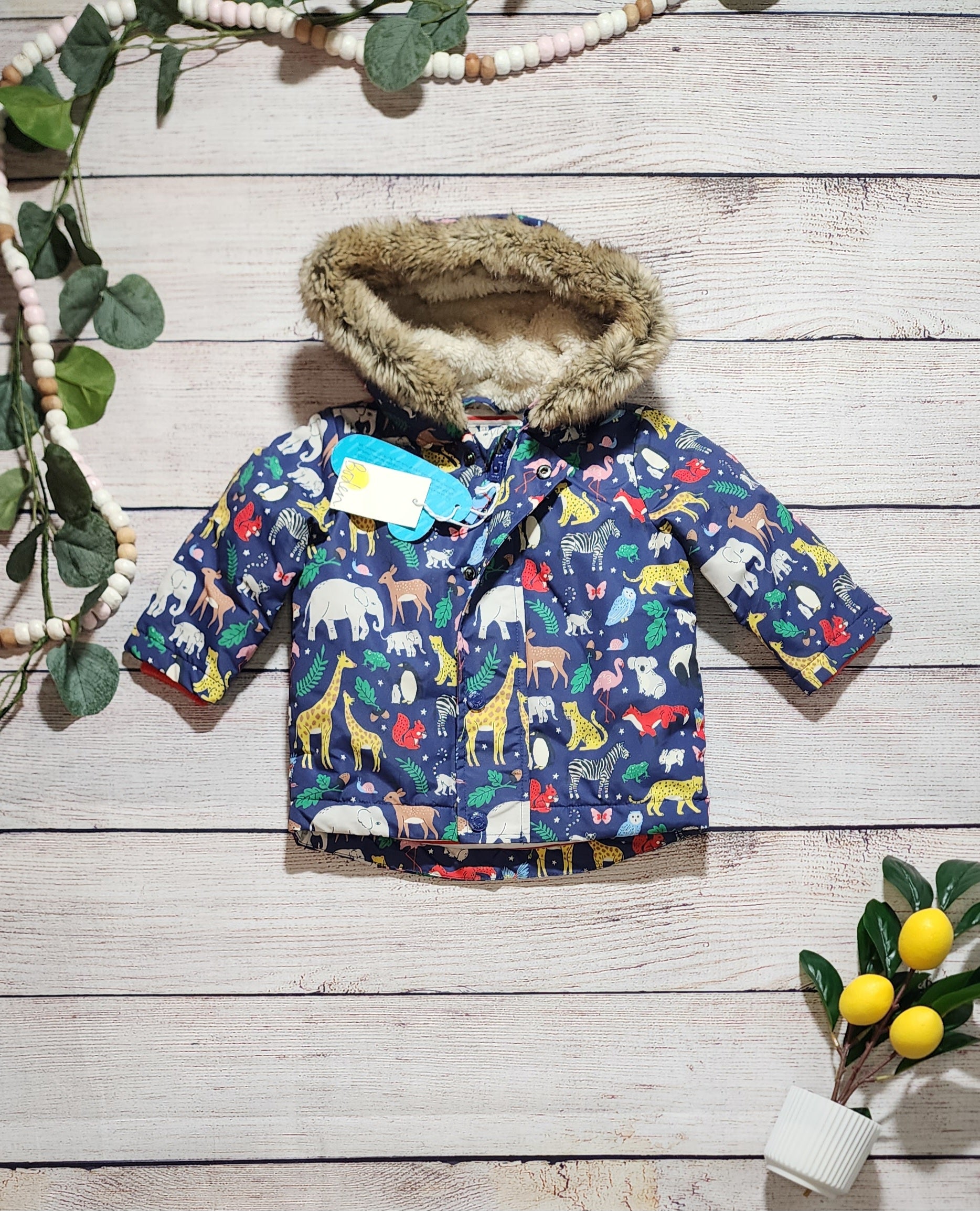 Mini Boden 3-in-1 Water Resistant Jacket, 3-6 Months – Apple