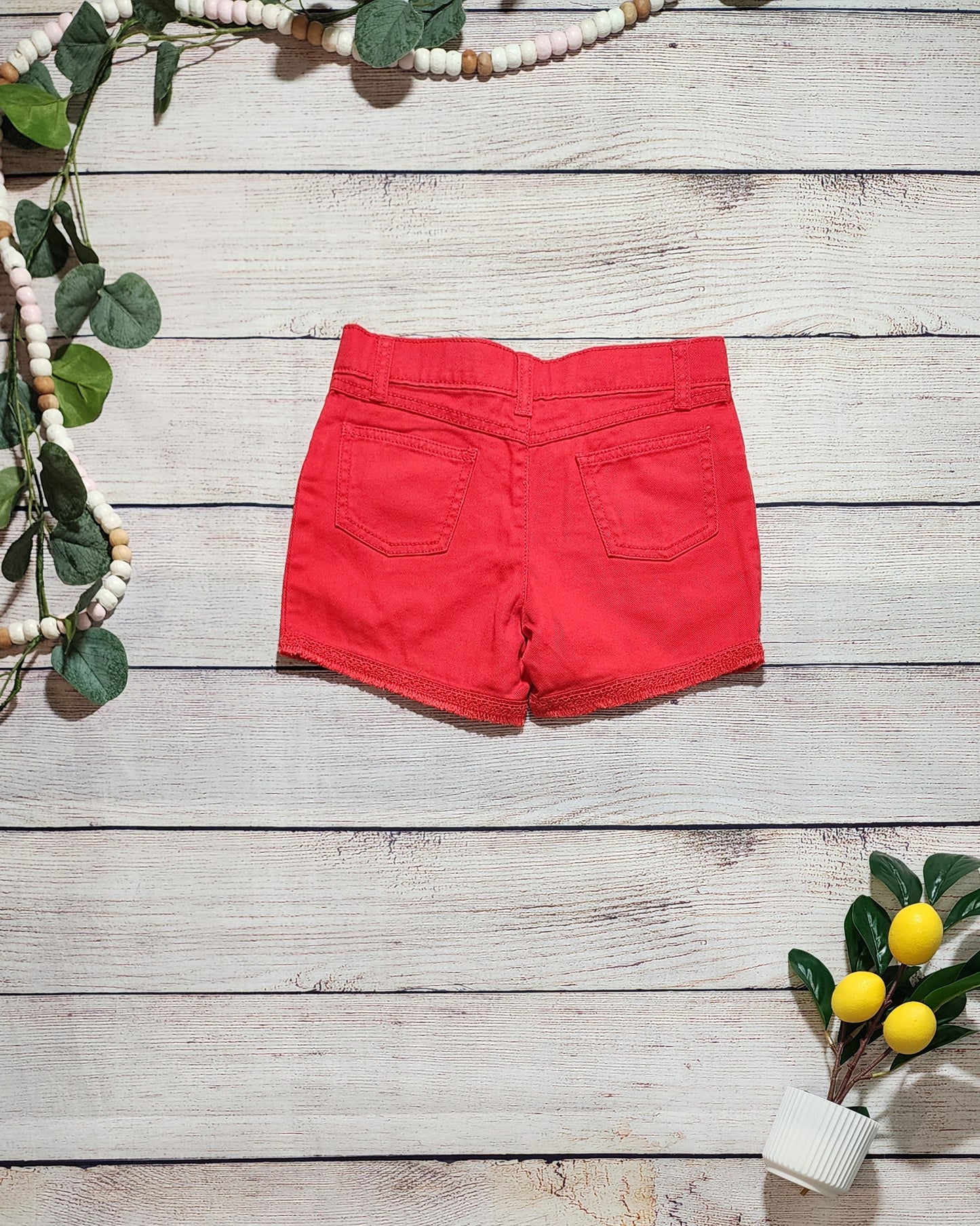 Carter's Shorts, Size 8