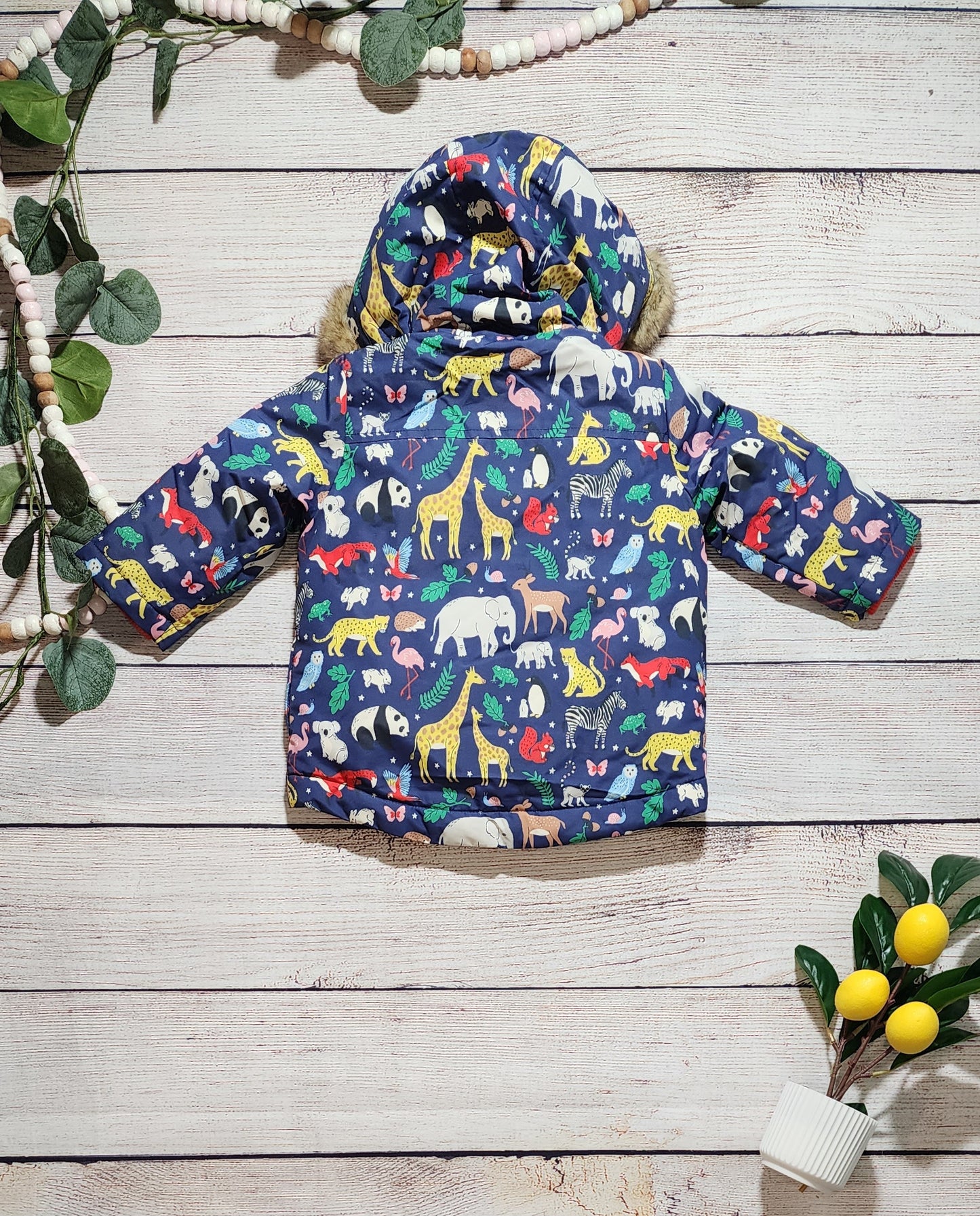 Mini Boden 3-in-1 Water Resistant Jacket, 3-6 Months